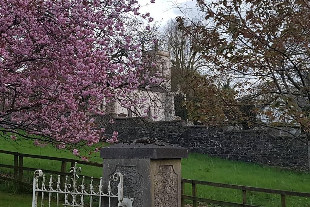 Holiday home The Burrow, A Spacious In Heart Of Ni