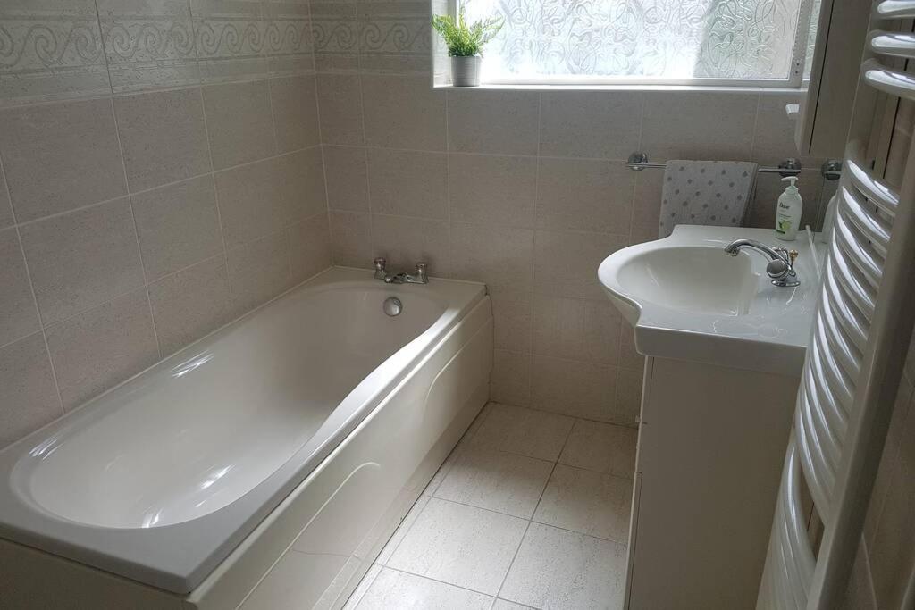 The Burrow, A Spacious In Heart Of Ni *