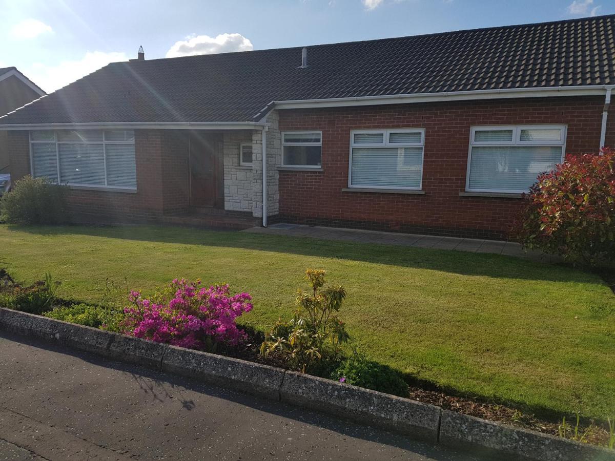 The Burrow, A Spacious In Heart Of Ni Holiday home